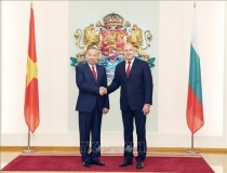 Tổng Bí thư Tô Lâm hội đàm với Tổng thống Bulgaria Rumen Radev