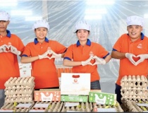 Trang trại nuôi gà đẻ trứng công nghệ cao tự động hóa toàn diện