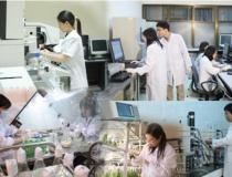 Nghị định 263/2025/NĐ-CP: Bước ngoặt trao quyền tự chủ toàn diện cho các tổ chức khoa học và công nghệ công lập