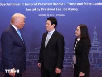 Chủ tịch nước gặp Tổng thống Mỹ và lãnh đạo cấp cao các nước dự APEC 2025