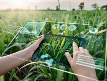 Khát vọng “kỳ lân” Việt Nam – Từ khởi nghiệp đến gọi vốn quốc tế