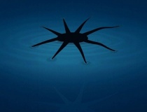 Phát triển robot mềm có thể di chuyển trên mặt nước