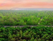 Hải Phòng xây dựng quy định sử dụng quỹ tín dụng carbon, hỗ trợ phát triển xanh