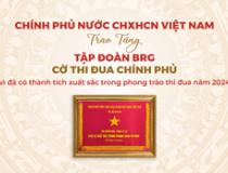 Tập đoàn BRG được trao tặng Cờ Thi đua Chính phủ