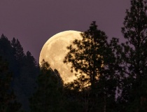 Châu Âu và tham vọng 