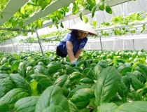 Hà Nội tăng tốc chuyển đổi số: Hoàn thiện cơ chế đánh giá, mở rộng động lực từ thực tiễn