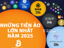 Thị trường tiền ảo qua một biểu đồ