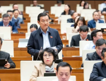 Đại biểu Quốc hội đề xuất cấm tuyệt đối thuốc lá điện tử, thuốc lá nung nóng và khí N2O