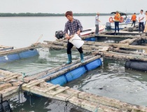 Quảng Ninh: Khoa học công nghệ tạo đột phá trong sản xuất xanh và giảm nghèo bền vững