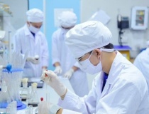 Thủ tục thẩm định chương trình khoa học, công nghệ và đổi mới sáng tạo