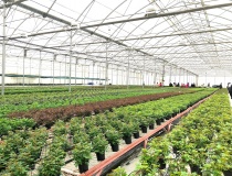 Chuyển đổi số - Động lực mới cho hành trình xoá đói giảm nghèo