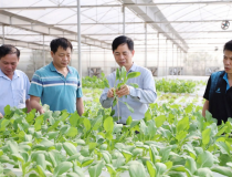 ‏Vai trò của khoa học và công nghệ trong giám sát và phản biện xã hội về xây dựng nông thôn mới‏