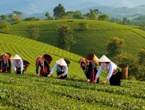 Phú Thọ: Ứng dụng khoa học công nghệ và chuyển đổi số để xây dựng nông thôn mới