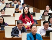 Đại biểu Quốc hội đề nghị tấn công mạnh tội phạm công nghệ cao, hàng giả, thực phẩm bẩn