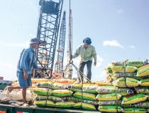 Dịch chuyển thương mại điện tử về Cần Thơ: Tín hiệu tăng tốc của trung tâm vùng