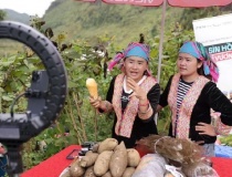 Ứng dụng công nghệ vào sản xuất, quảng bá và tiêu thụ sản phẩm các vùng miền