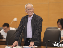 TS. Mai Liêm Trực: 