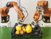 Doanh nghiệp robot và tự động hóa Anh 