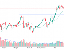 Công ty chứng khoán đánh giá gì về rủi ro điều chỉnh của VN-Index?