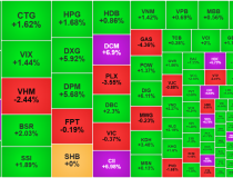 Sắc đỏ tiếp tục lan rộng, cổ phiếu dầu khí ngược sóng