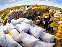 Việt Nam hoàn thành kế hoạch dự trữ nhà nước 500.000 tấn lương thực