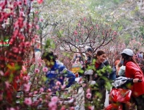 Thủ tướng yêu cầu đôn đốc doanh nghiệp chi trả đầy đủ lương, thưởng Tết cho người lao động