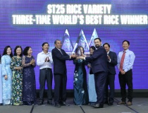 ST25: 'Tấm hộ chiếu' đưa nông sản Việt vươn tầm thế giới