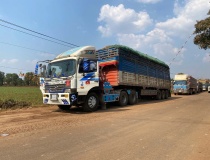 Thủ tướng chỉ đạo tháo gỡ vướng mắc trong triển khai Nghị định 46/2026/NĐ-CP về an toàn thực phẩm