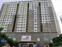 TP.HCM rà soát hàng loạt kiến nghị cử tri liên quan sai phạm tại các chung cư