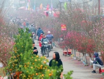 Chăm lo, hỗ trợ Nhân dân đón Tết Nguyên đán Bính Ngọ 2026 vui tươi, an toàn, tiết kiệm