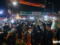 Giáp Tết Bính Ngọ, chợ hoa lớn nhất Hà Nội đông nghịt