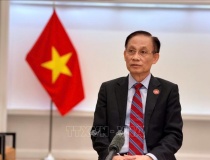 Báo chí quốc tế đánh giá cao việc Việt Nam là thành viên sáng lập của Hội đồng Hòa bình về Dải Gaza