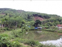 Căn cứ xác định là đất vườn, ao gắn liền đất ở