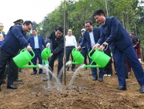 Chủ tịch nước dự lễ phát động Tết trồng cây năm 2026