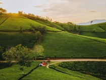 Phú Thọ: Long Cốc - “Bồng lai tiên cảnh mỗi sớm mai” - thu hút du khách