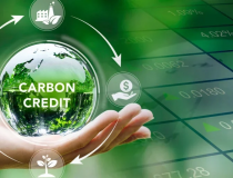 Bộ Nông nghiệp và Môi trường sẽ cấp mã, seri cho hạn ngạch phát thải và tín chỉ carbon