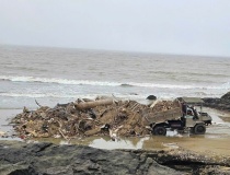 Công an xác minh người đổ trộm rác thải ra biển Hải Tiến