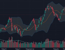 Cổ phiếu dầu khí “cháy” trở lại, tiền vẫn chặn đỡ ổn định vùng giá thấp