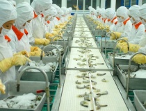 Ngành thủy sản chủ động ứng phó với căng thẳng tại Trung Đông