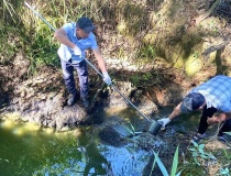 Xử lý 3.899 vụ vi phạm về môi trường, tổng tiền phạt 66,7 tỷ đồng