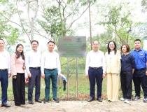 Toyota đồng hành cùng chương trình “Tết trồng cây đời đời nhớ ơn Bác  Hồ” Xuân Bính Ngọ 2026 