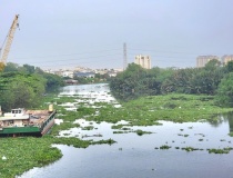 Nghiên cứu lắp đặt hệ thống ngăn lục bình, thu gom rác thải tại đầu nguồn sông, kênh, rạch