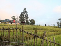 Việt Nam vào top 5 điểm đến du lịch hấp dẫn nhất thế giới năm 2026