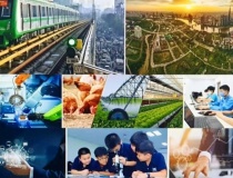 Chương trình hành động của Chính phủ thực hiện Nghị quyết Đại hội đại biểu toàn quốc lần thứ XIV của Đảng