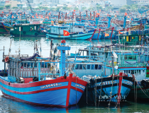 Giá dầu tăng mạnh, nhiều ngư dân “bỏ biển” chờ giải pháp