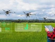 Ngành nông nghiệp trước áp lực chuyển đổi sang mô hình sản xuất hiện đại