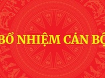 Thủ tướng Chính phủ phê chuẩn kết quả bầu Chủ tịch, Phó Chủ tịch UBND cấp tỉnh nhiệm kỳ 2026-2031