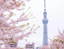 Chứng khoán châu Á tăng điểm dịp Lễ Phục Sinh, thị trường kỳ vọng eo biển Hormuz được mở lại