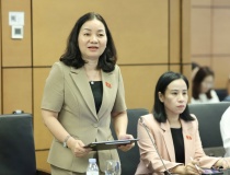 Đại biểu nêu bất cập khi dịch vụ công số 