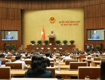 Phải tạo được các cơ chế, chính sách đặc thù, vượt trội cho sự phát triển của Thủ đô